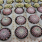 Echeveria spp. Lone star Succulents